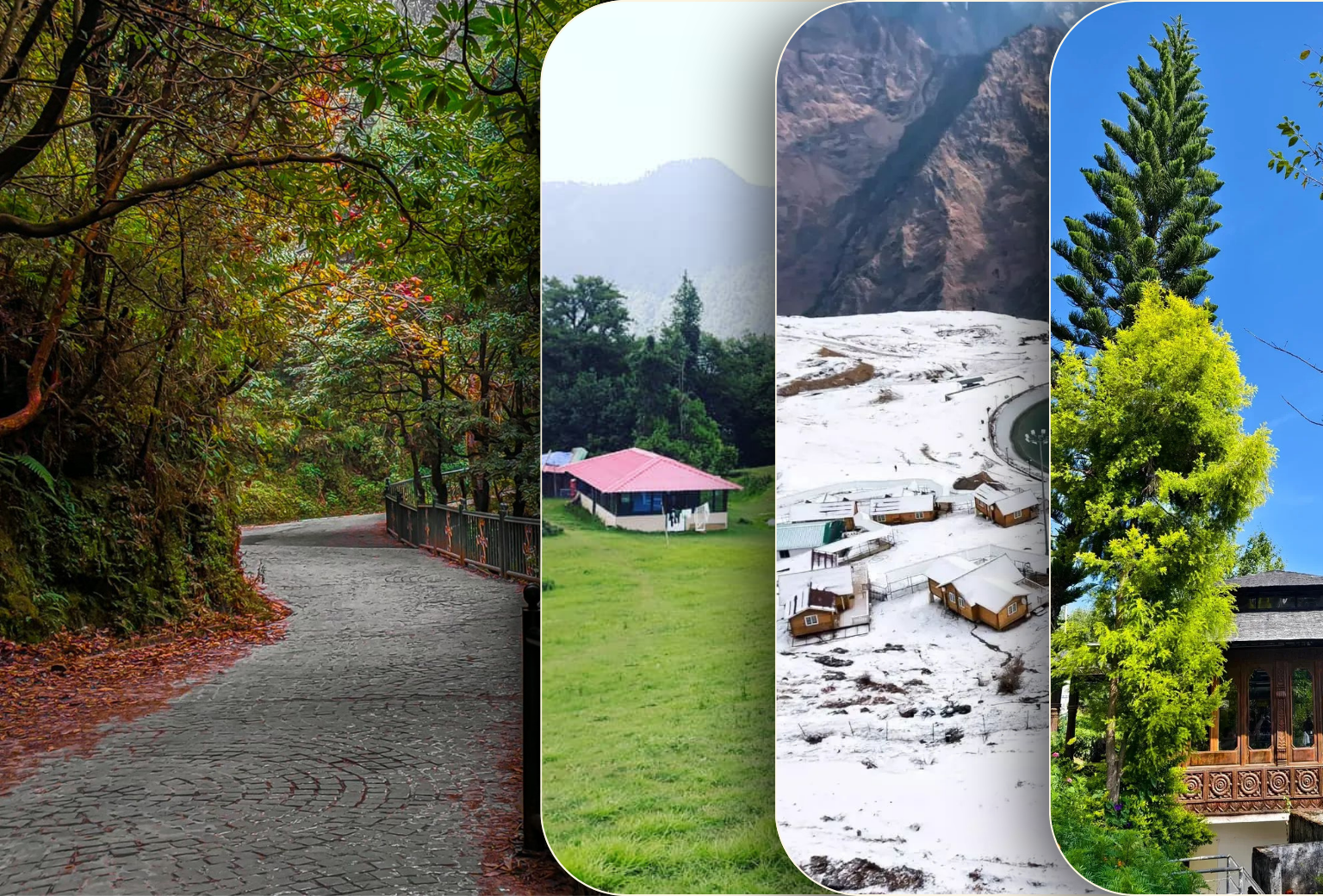 8 Days Mussoorie Chopta Auli Kausani Corbett Tour from Delhi
